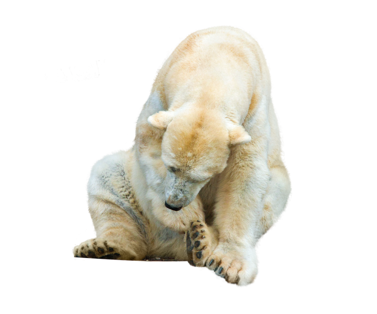 10 Simple Ways You Can Combat Climate Change In Your Daily Life