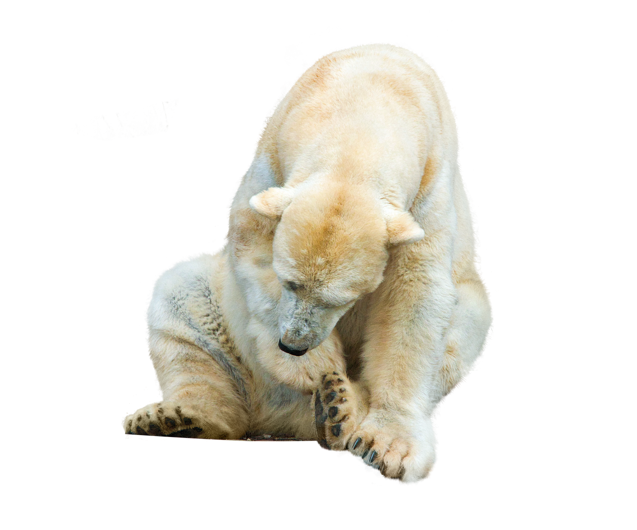 The principles of reduce, reuse, and recycle are fundamental to