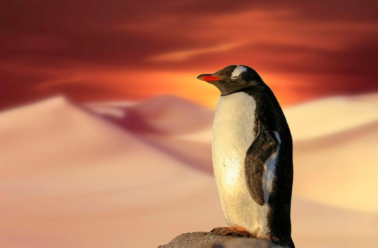 10 Simple Ways You Can Combat Climate Change In Your Daily Life