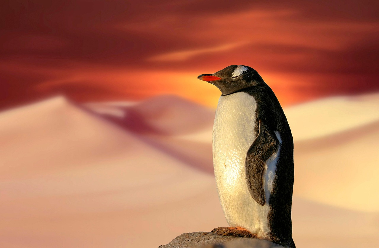 10. Support Sustainable Brands and Businesses