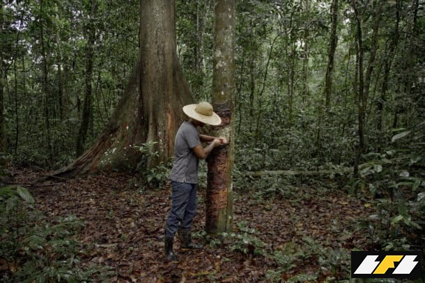 Medium_WW1206975-610x407-1