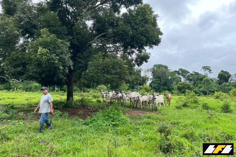 PHOTO-2025-12-06-10-21-49-768x512-1