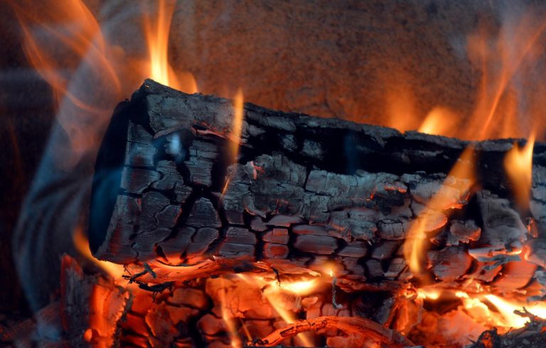 Climate Change And Its Drastic Effect On Biodiversity What We Stand To Lose