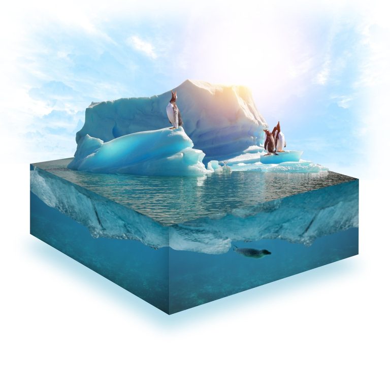 Climate Change And Its Drastic Effect On Biodiversity What We Stand To Lose