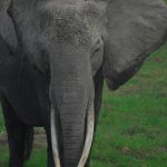 Eco Innovation How Technology Is Leading The Fight Against Climate Change