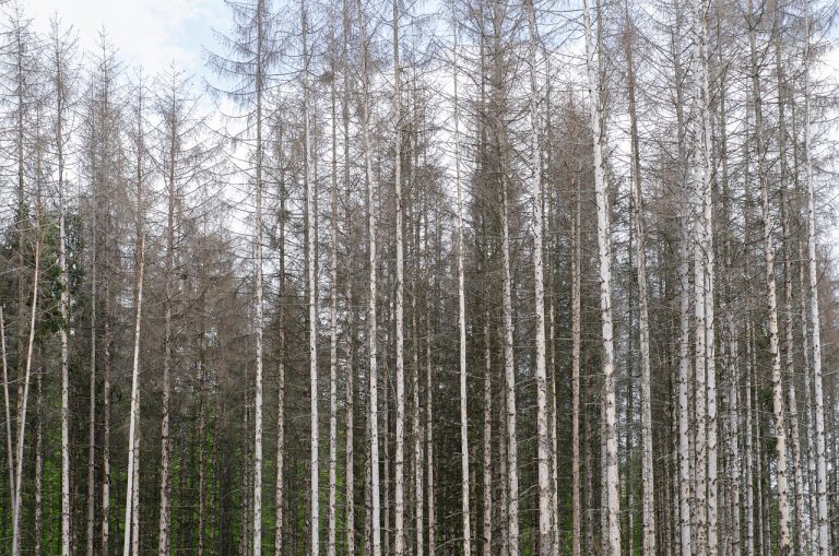 Eco Innovation How Technology Is Leading The Fight Against Climate Change