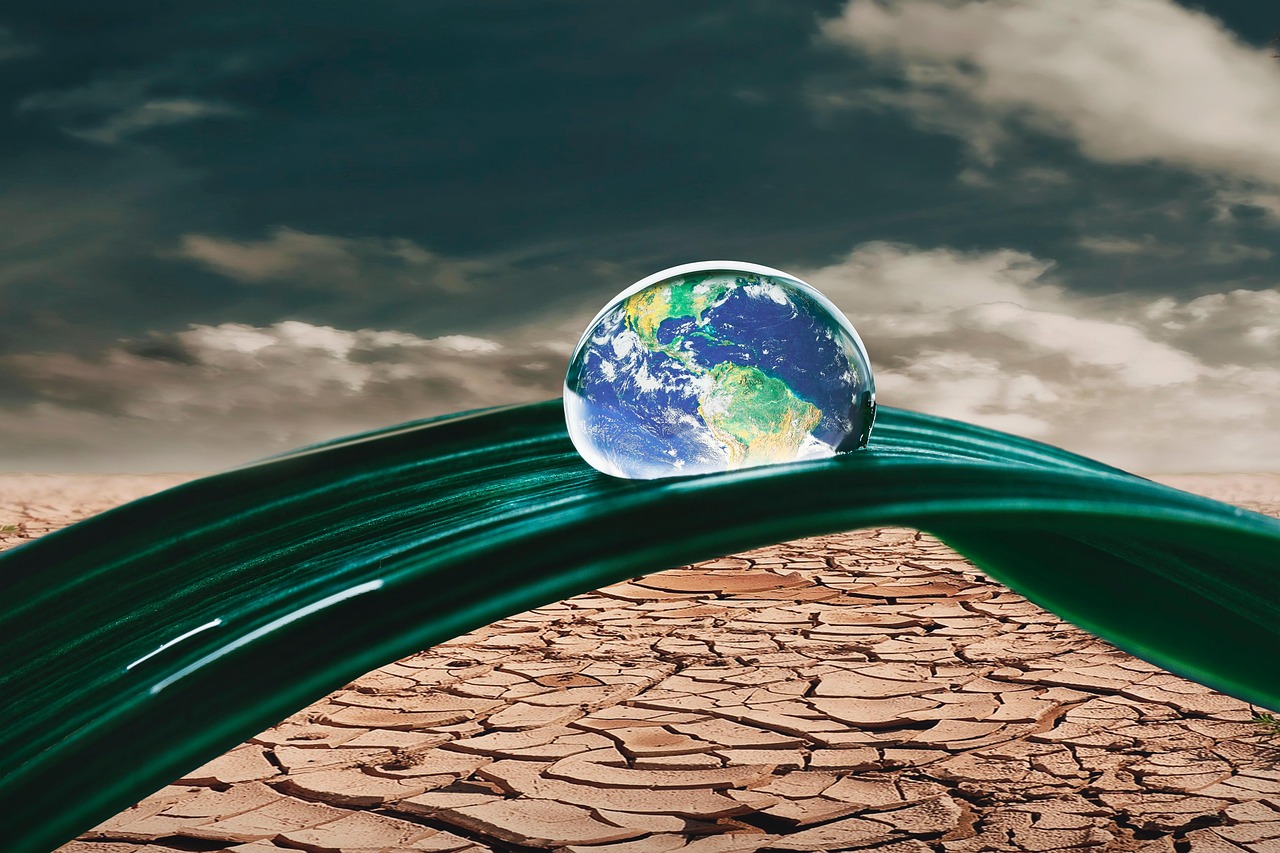 Grassroots movements and environmental advocacy organizations play a significant role