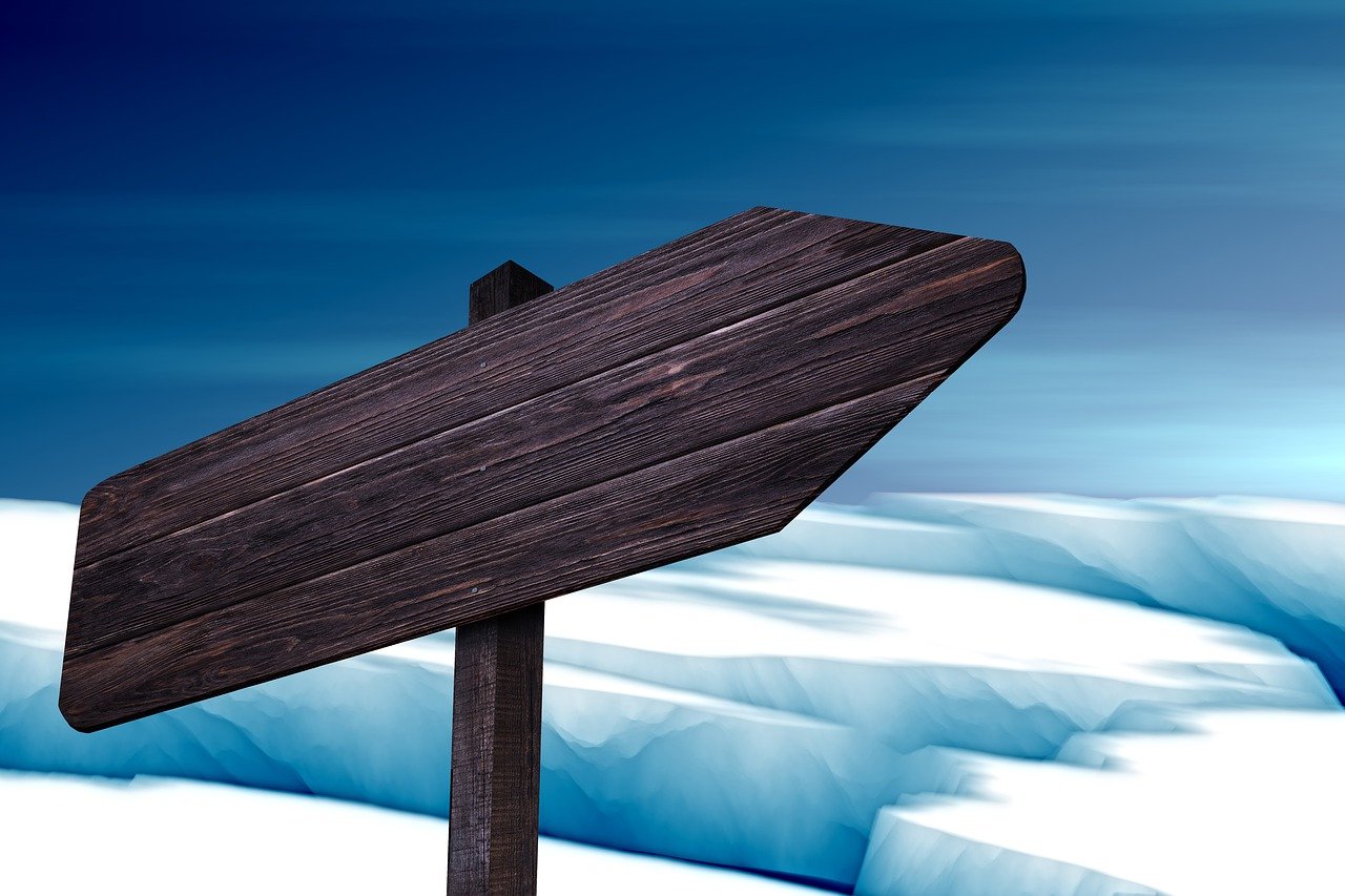 The increase in these gases is primarily due to human