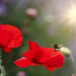 The Science Behind Climate Change Breaking Down The Greenhouse Effect