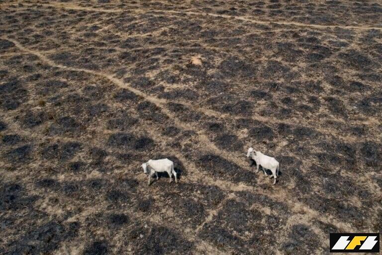 AP20236730024384-768x512.1