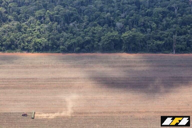 GP0STOOTX-2-768x512.1