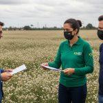 Brazilian city showing heat resilience features and climate data visualization